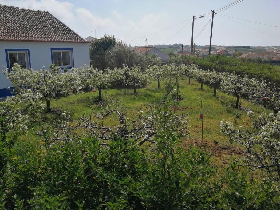 Casa Da Ti' Milia Villa Encarnacao Kültér fotó